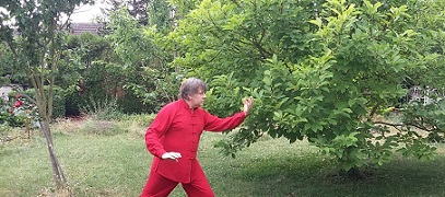 JP tai chi en exterieur